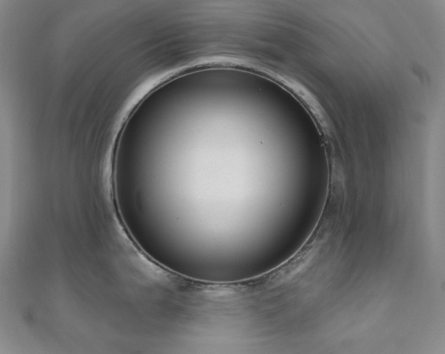 X0000110701199200906121327