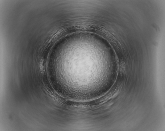 X0000110701202200906121326
