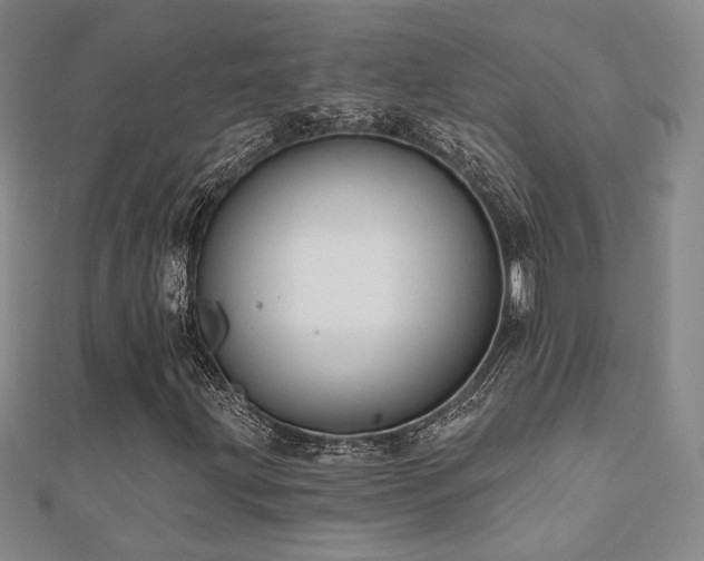 X0000110701203200906121326