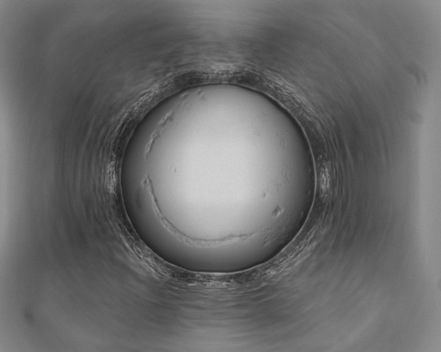 X0000110701204200906121326