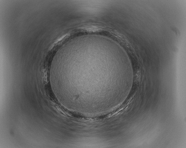 X0000110701205200906121326