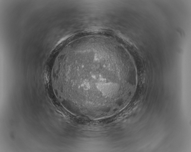 X0000110701206200906121326