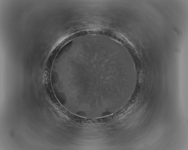 X0000110701208200906121326
