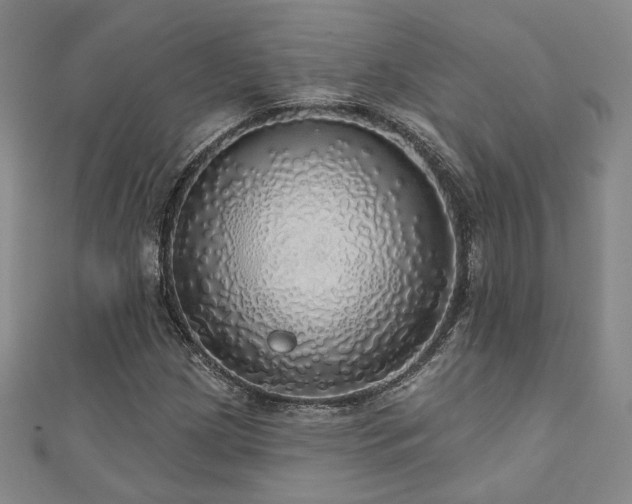 X0000110701209200906121326