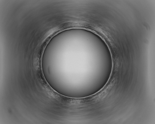 X0000110701211200906121327