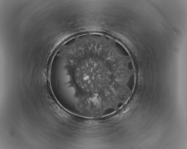 X0000110701212200906121327