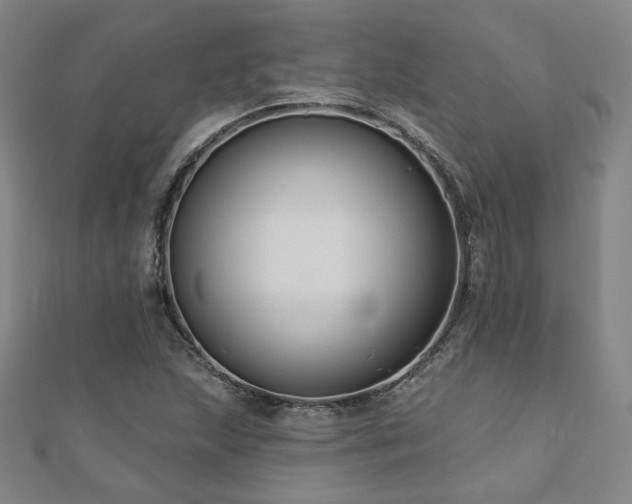 X0000110701215200906121327
