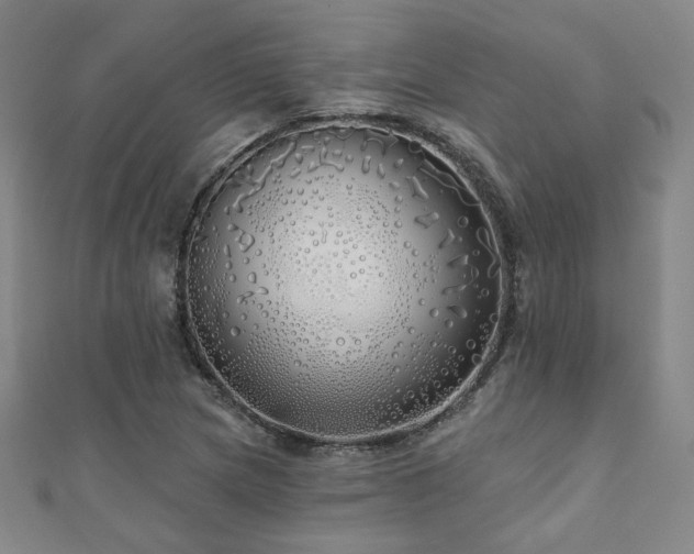 X0000110701217200906121327