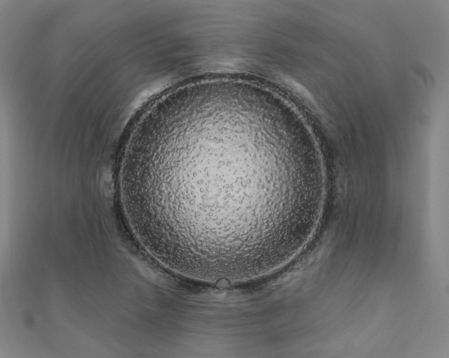 X0000110701218200906121327