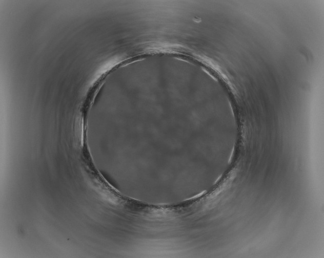 X0000110701219200906121327
