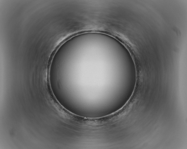X0000110701220200906121327