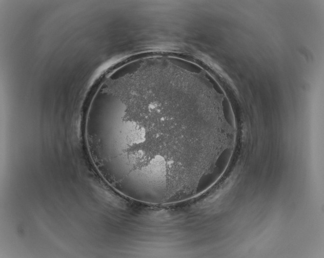 X0000110701222200906121327