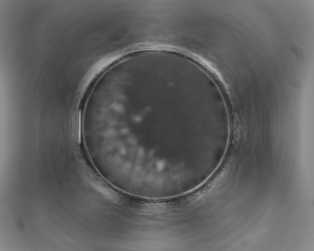 X0000110701223200906121327