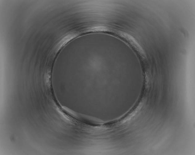 X0000110701225200906121327
