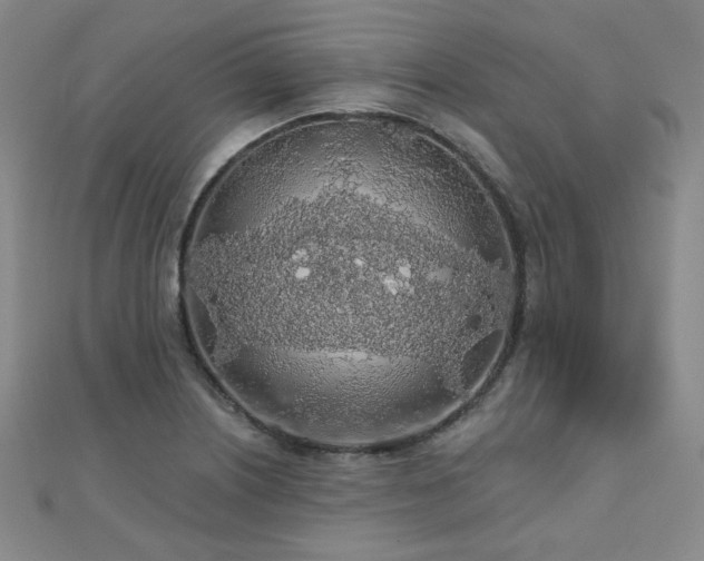 X0000110701226200906121327