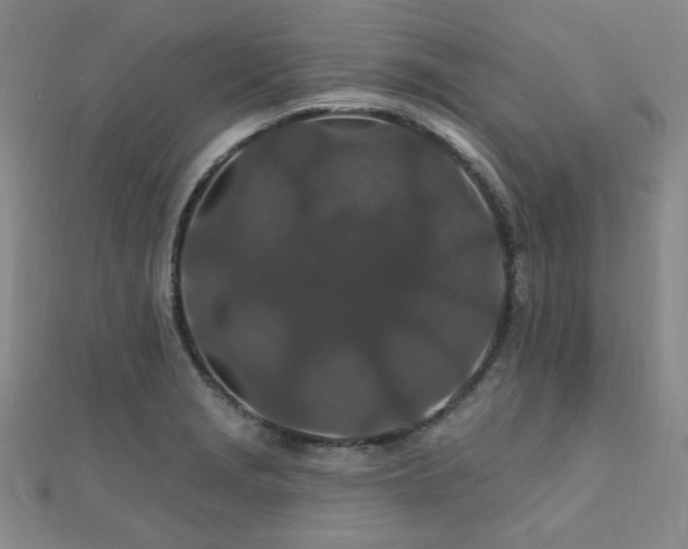 X0000110701229200906121327