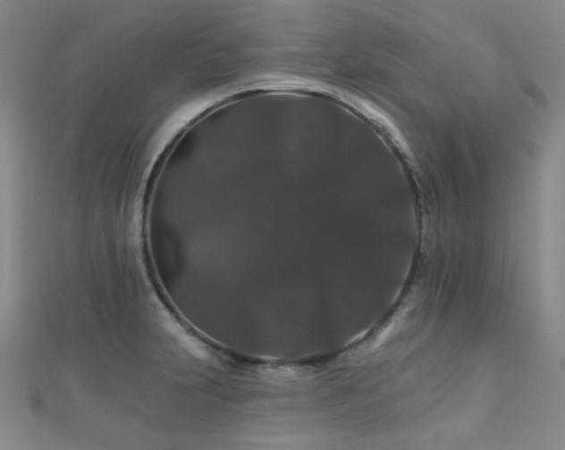 X0000110701231200906121327