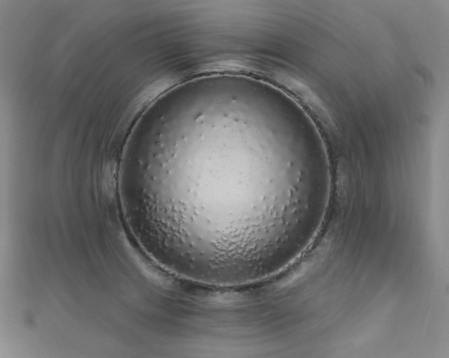 X0000110701233200906121327