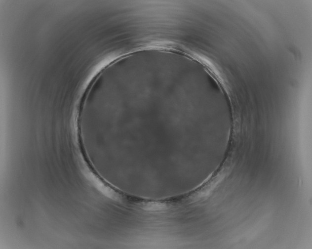 X0000110701235200906121327