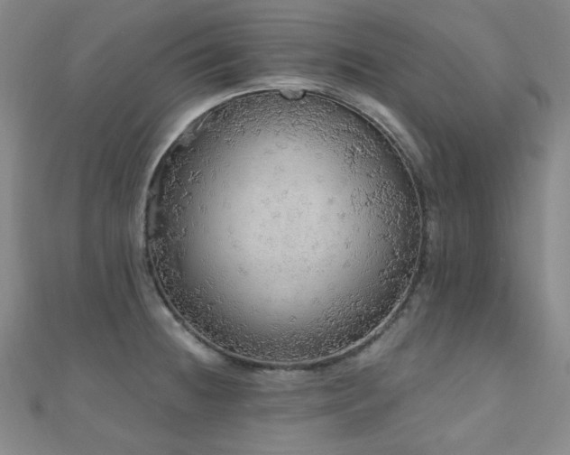 X0000110701236200906121327