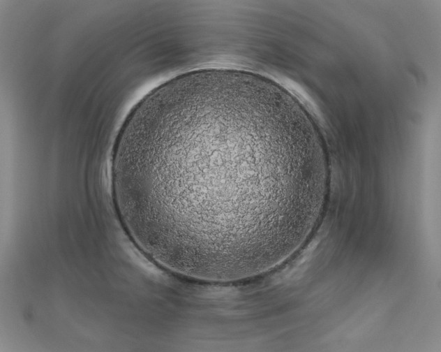 X0000110701238200906121327