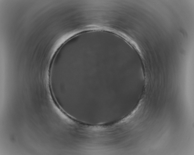 X0000110701239200906121327