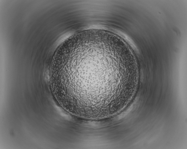 X0000110701241200906121327