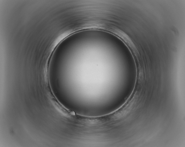 X0000110701242200906121327