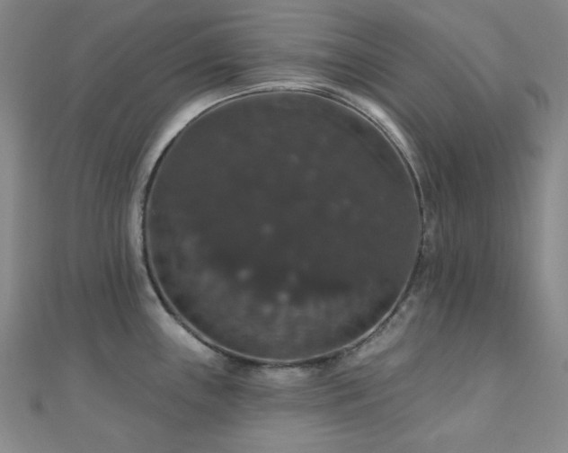 X0000110701243200906121327