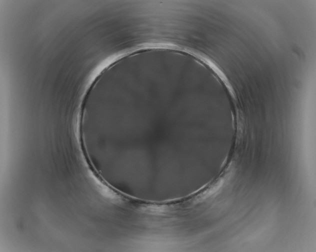 X0000110701245200906121327