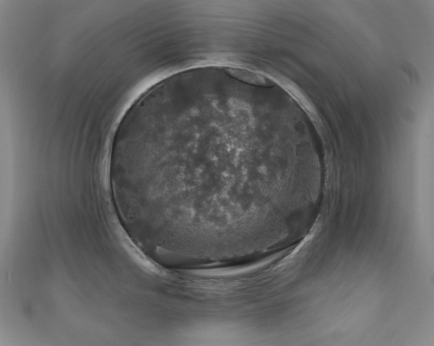 X0000110701246200906121327