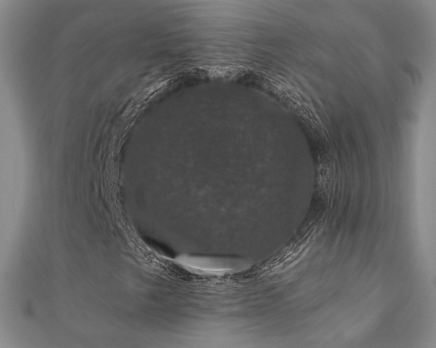 X0000110701249200906121326