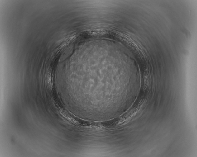 X0000110701250200906121326