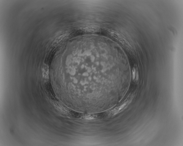 X0000110701251200906121326