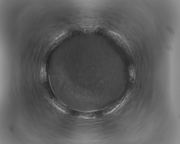 X0000110701252200906121326