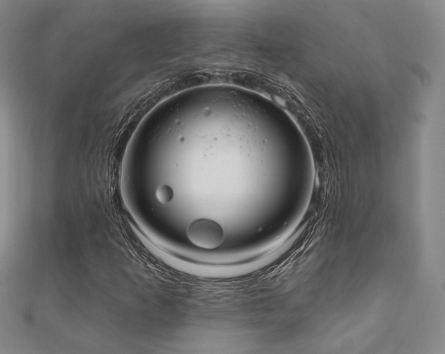 X0000110701253200906121326