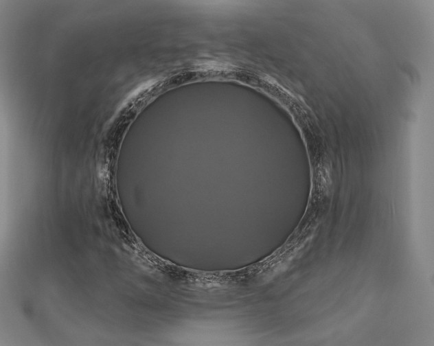 X0000110701254200906121326