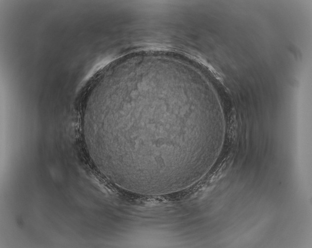 X0000110701255200906121326