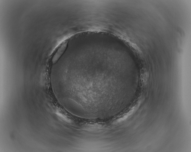 X0000110701256200906121326