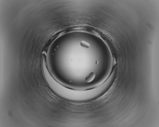 X0000110701257200906121326