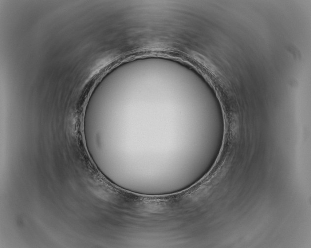 X0000110701258200906121326