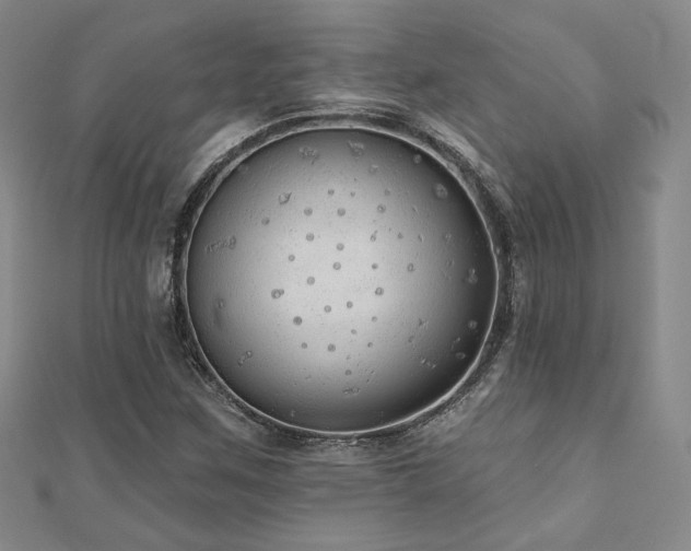 X0000110701259200906121326