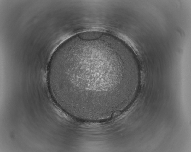 X0000110701260200906121326