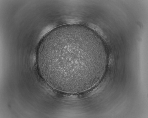 X0000110701261200906121326