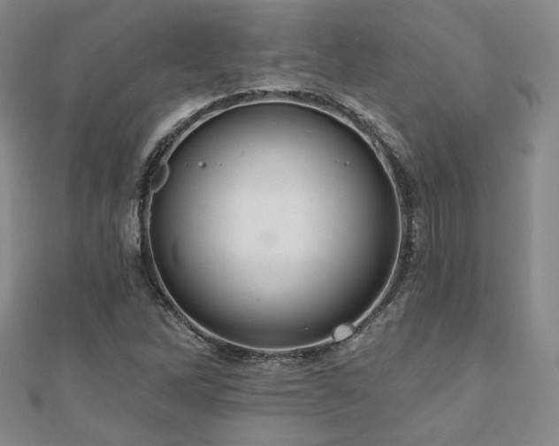 X0000110701262200906121326