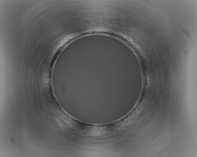 X0000110701266200906121326