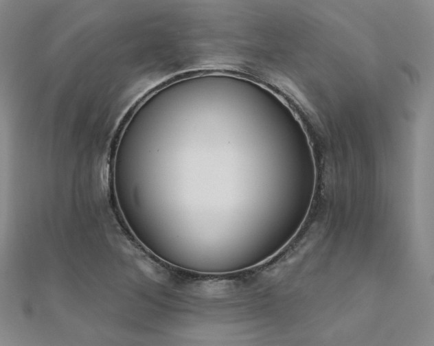 X0000110701268200906121326