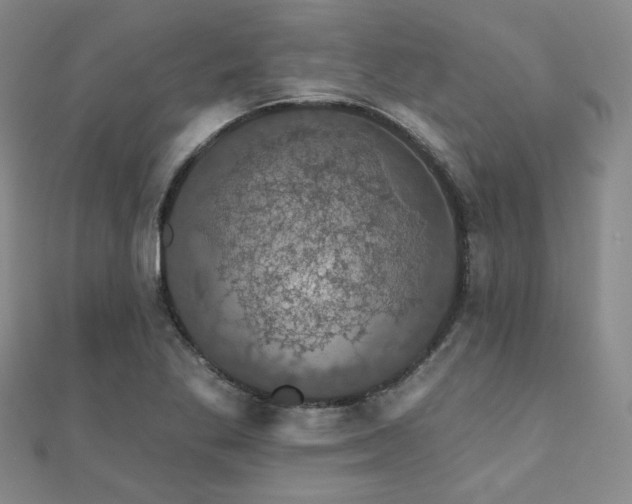 X0000110701269200906121326