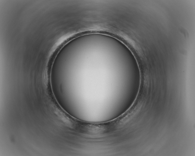 X0000110701270200906121326