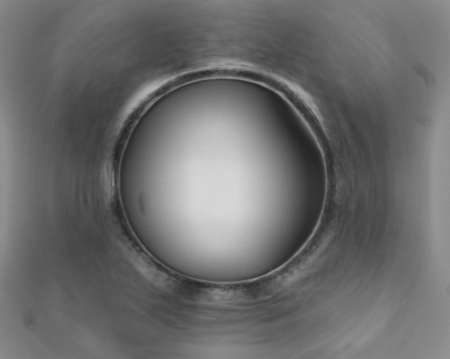 X0000110701271200906121326